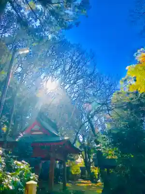 鹿島神宮の手水舎