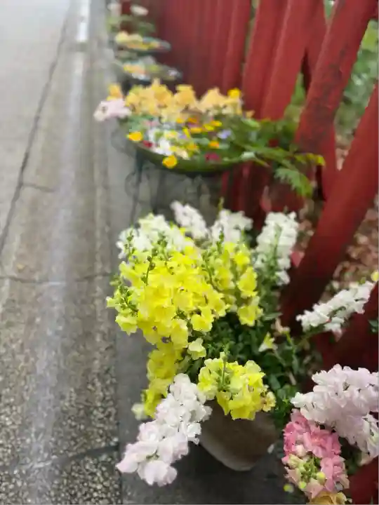 川越八幡宮(埼玉県)