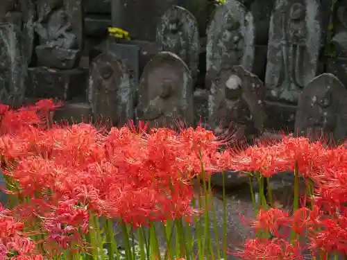 宝蔵院の庭園