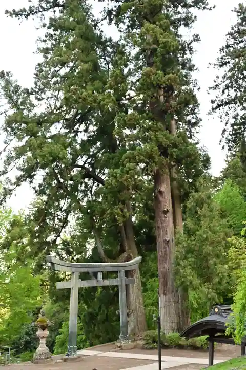 妙義神社(群馬県)