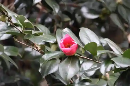 鹿島大神宮(福島県)