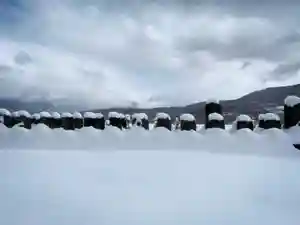 仁玄寺の地蔵(2020年03月16日(月) 13時07分54秒投稿)