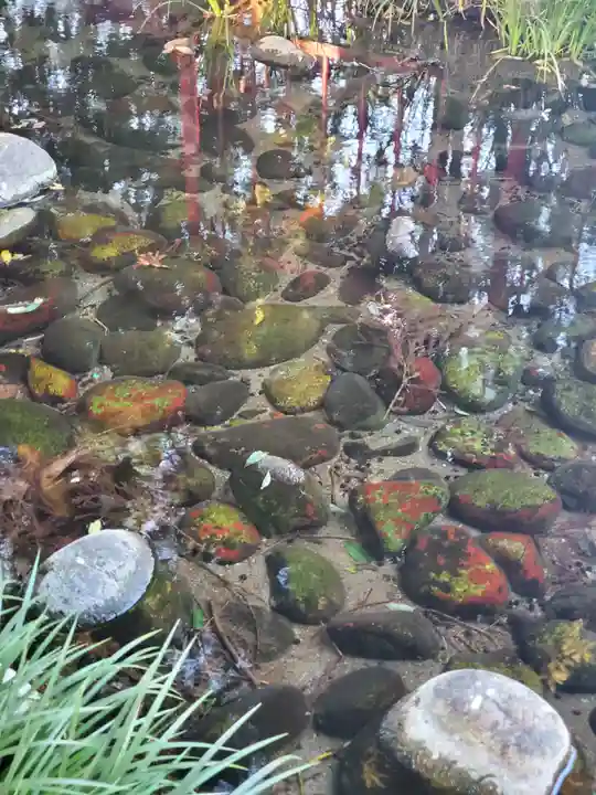 神明宮 (芋森神社)の周辺