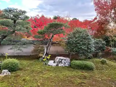 天得院(京都府)