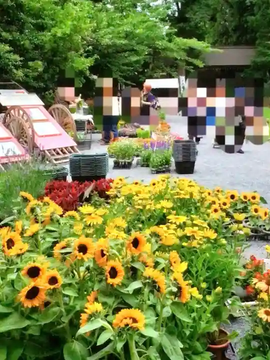 阿佐ヶ谷神明宮(東京都)