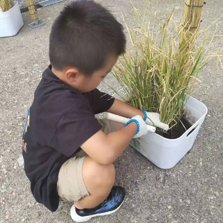 七重浜海津見神社の自然