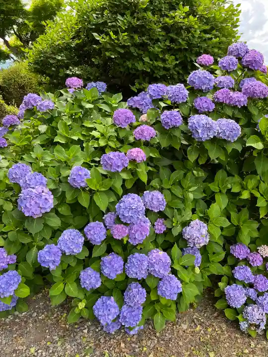 法船寺(長野県)