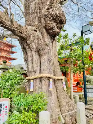 銚港神社の{uncategorized: "未分類", other: "その他", undefined: "問題あり", building: "その他建物", grave: "お墓", sacred_gate: "鳥居", guardian: "狛犬", statue: "像", buddha: "仏像", history: "歴史", nature: "自然", garden: "庭園", animal: "動物", pagoda: "塔", temizu: "手水舎", mountain_gate: "山門・神門", sanctuary: "本殿・本堂", subordinate: "末社・摂社", art: "芸術", scenery: "景色", jizo: "地蔵", ema: "絵馬", goshuin: "御朱印", omikuji: "おみくじ", items: "授与品その他", amulet: "お守り", goshuincho: "御朱印帳", eats: "食事", festival: "お祭り", votive_dance: "神楽", shichigosan: "七五三参", wedding: "結婚式", experience: "体験その他", initially: "初詣", around: "周辺", anti_infection: "感染症対策"}