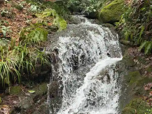 白山比咩神社の{uncategorized: "未分類", other: "その他", undefined: "問題あり", building: "その他建物", grave: "お墓", sacred_gate: "鳥居", guardian: "狛犬", statue: "像", buddha: "仏像", history: "歴史", nature: "自然", garden: "庭園", animal: "動物", pagoda: "塔", temizu: "手水舎", mountain_gate: "山門・神門", sanctuary: "本殿・本堂", subordinate: "末社・摂社", art: "芸術", scenery: "景色", jizo: "地蔵", ema: "絵馬", goshuin: "御朱印", omikuji: "おみくじ", items: "授与品その他", amulet: "お守り", goshuincho: "御朱印帳", eats: "食事", festival: "お祭り", votive_dance: "神楽", shichigosan: "七五三参", wedding: "結婚式", experience: "体験その他", initially: "初詣", around: "周辺", anti_infection: "感染症対策"}