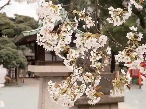 金王八幡宮の自然