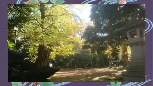 赤坂氷川神社(東京都)