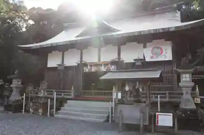 闘鶏神社の本殿・本堂