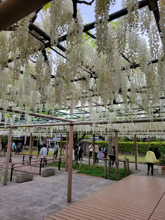 曼陀羅寺の庭園