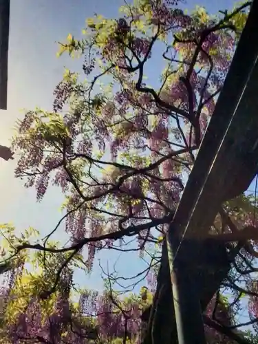 國領神社(東京都)