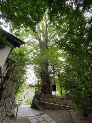 王子神社(東京都)