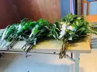 天鷹神社(岐阜県)