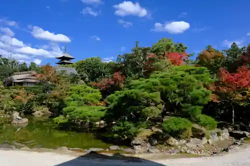 仁和寺の庭園