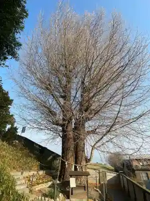 堤治神社(愛知県)
