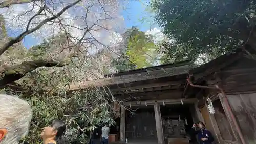 吉野水分神社（吉野町）の本殿・本堂