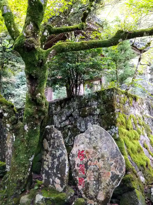 最乗寺(道了尊)(神奈川県)