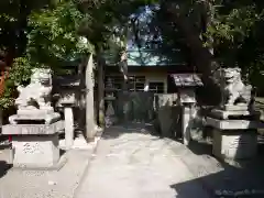 日保見山八幡宮の狛犬