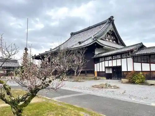 弘誓寺(滋賀県)