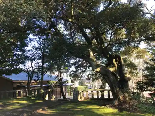 熊野神社の庭園