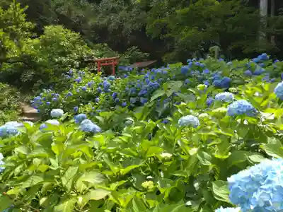 光照寺(新潟県)