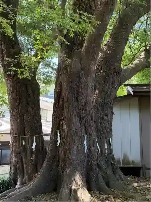 弘道館鹿島神社(茨城県)