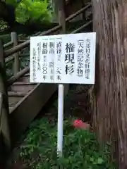 八女津媛神社(福岡県)