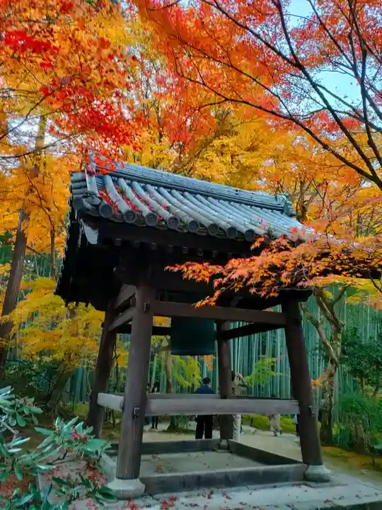 圓光寺のその他建物