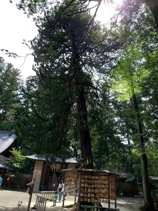 大崎八幡宮(宮城県)