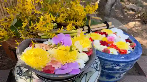 多賀神社の{uncategorized: "未分類", other: "その他", undefined: "問題あり", building: "その他建物", grave: "お墓", sacred_gate: "鳥居", guardian: "狛犬", statue: "像", buddha: "仏像", history: "歴史", nature: "自然", garden: "庭園", animal: "動物", pagoda: "塔", temizu: "手水舎", mountain_gate: "山門・神門", sanctuary: "本殿・本堂", subordinate: "末社・摂社", art: "芸術", scenery: "景色", jizo: "地蔵", ema: "絵馬", goshuin: "御朱印", omikuji: "おみくじ", items: "授与品その他", amulet: "お守り", goshuincho: "御朱印帳", eats: "食事", festival: "お祭り", votive_dance: "神楽", shichigosan: "七五三参", wedding: "結婚式", experience: "体験その他", initially: "初詣", around: "周辺", anti_infection: "感染症対策"}