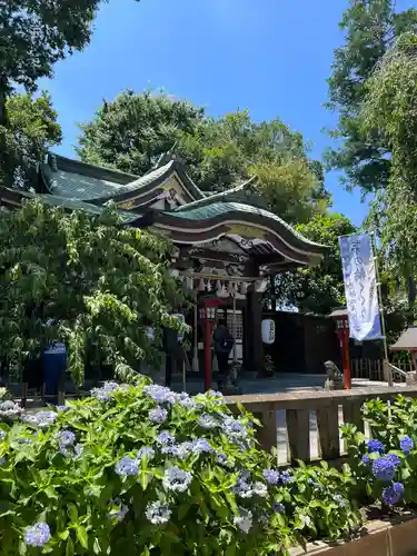 川越八幡宮(埼玉県)