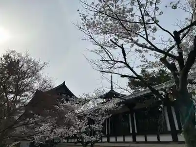 法隆寺(奈良県)