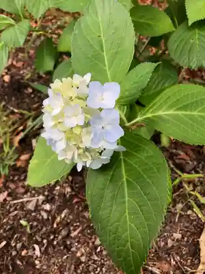鶴林寺(兵庫県)