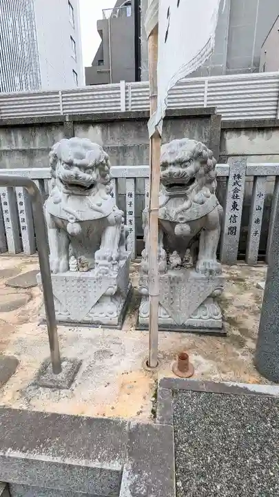 荻窪白山神社の狛犬