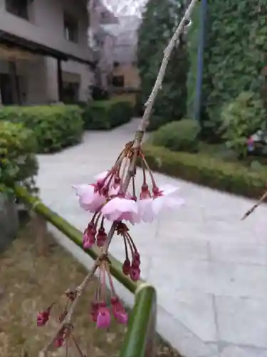 宝勝山　南藏院   蓮光寺の庭園