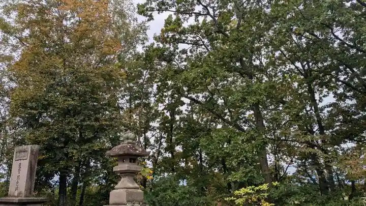 愛國神社の自然