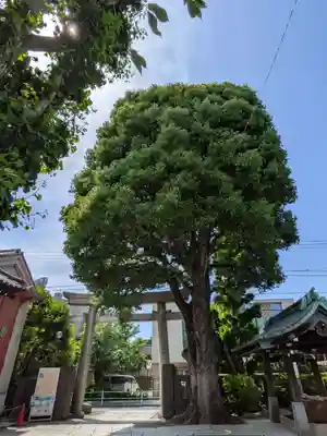 麻布氷川神社(東京都)