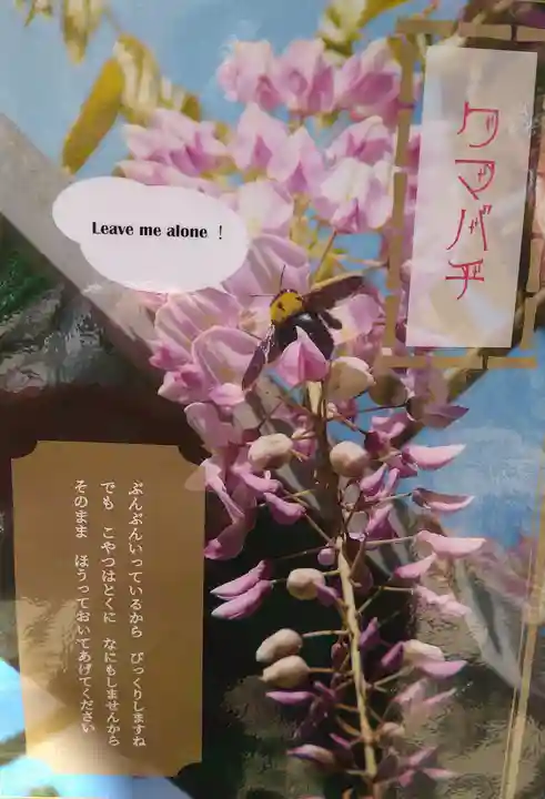 阿智神社(岡山県)