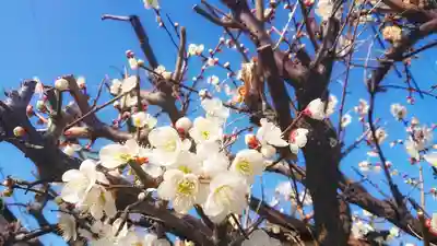 十二所社の自然