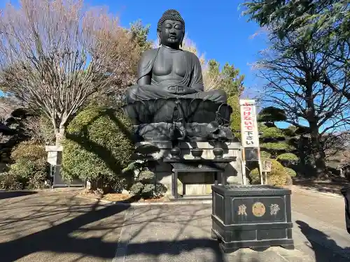 乗蓮寺の{uncategorized: "未分類", other: "その他", undefined: "問題あり", building: "その他建物", grave: "お墓", sacred_gate: "鳥居", guardian: "狛犬", statue: "像", buddha: "仏像", history: "歴史", nature: "自然", garden: "庭園", animal: "動物", pagoda: "塔", temizu: "手水舎", mountain_gate: "山門・神門", sanctuary: "本殿・本堂", subordinate: "末社・摂社", art: "芸術", scenery: "景色", jizo: "地蔵", ema: "絵馬", goshuin: "御朱印", omikuji: "おみくじ", items: "授与品その他", amulet: "お守り", goshuincho: "御朱印帳", eats: "食事", festival: "お祭り", votive_dance: "神楽", shichigosan: "七五三参", wedding: "結婚式", experience: "体験その他", initially: "初詣", around: "周辺", anti_infection: "感染症対策"}