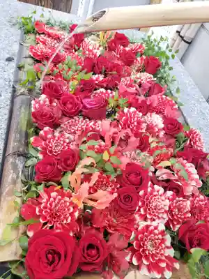 【閉業】小石川大神宮(東京都)