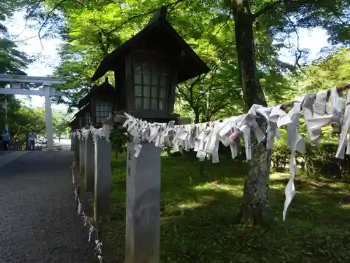 南湖神社のおみくじ