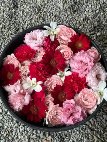 武蔵一宮氷川神社(埼玉県)