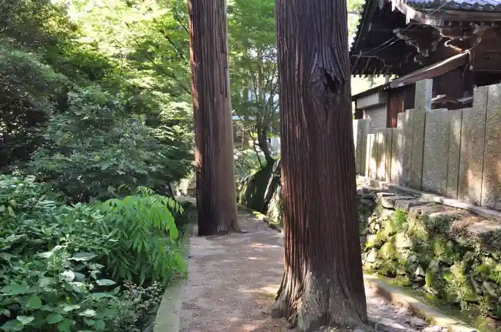 白峯寺(香川県)