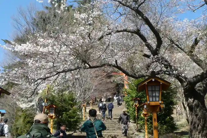 新倉富士浅間神社(山梨県)