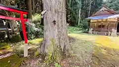 春日神社(兵庫県)