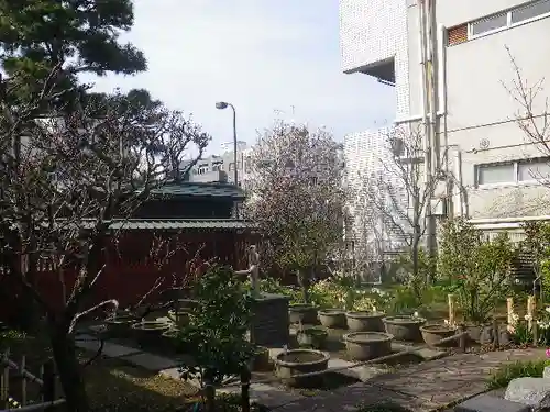 大巧寺の庭園